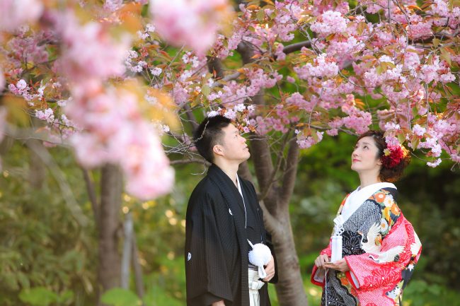 グランマニエ｜和装｜鶴文様｜色打ち掛け