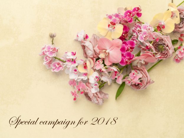 キャンペーン情報